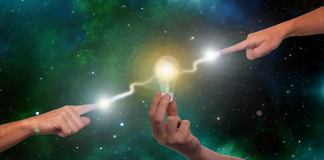 红梅花王：彩宏代理注册