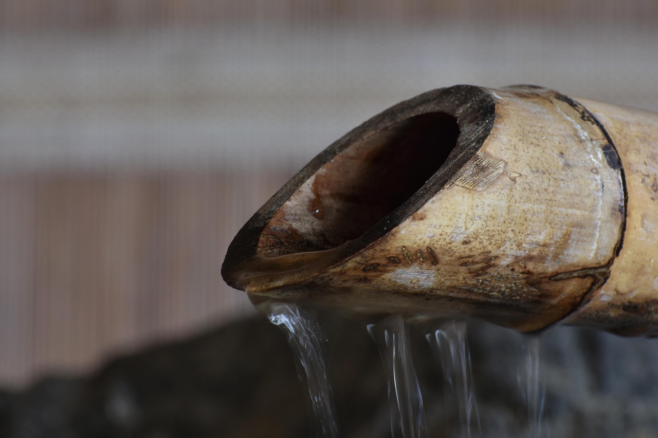 懂的通信实名账号：亚马逊注册代理公司条件