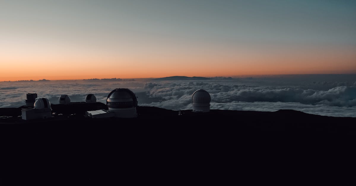 黄MU摇摇柠檬爆珠：西红柿app详情下载教程地址