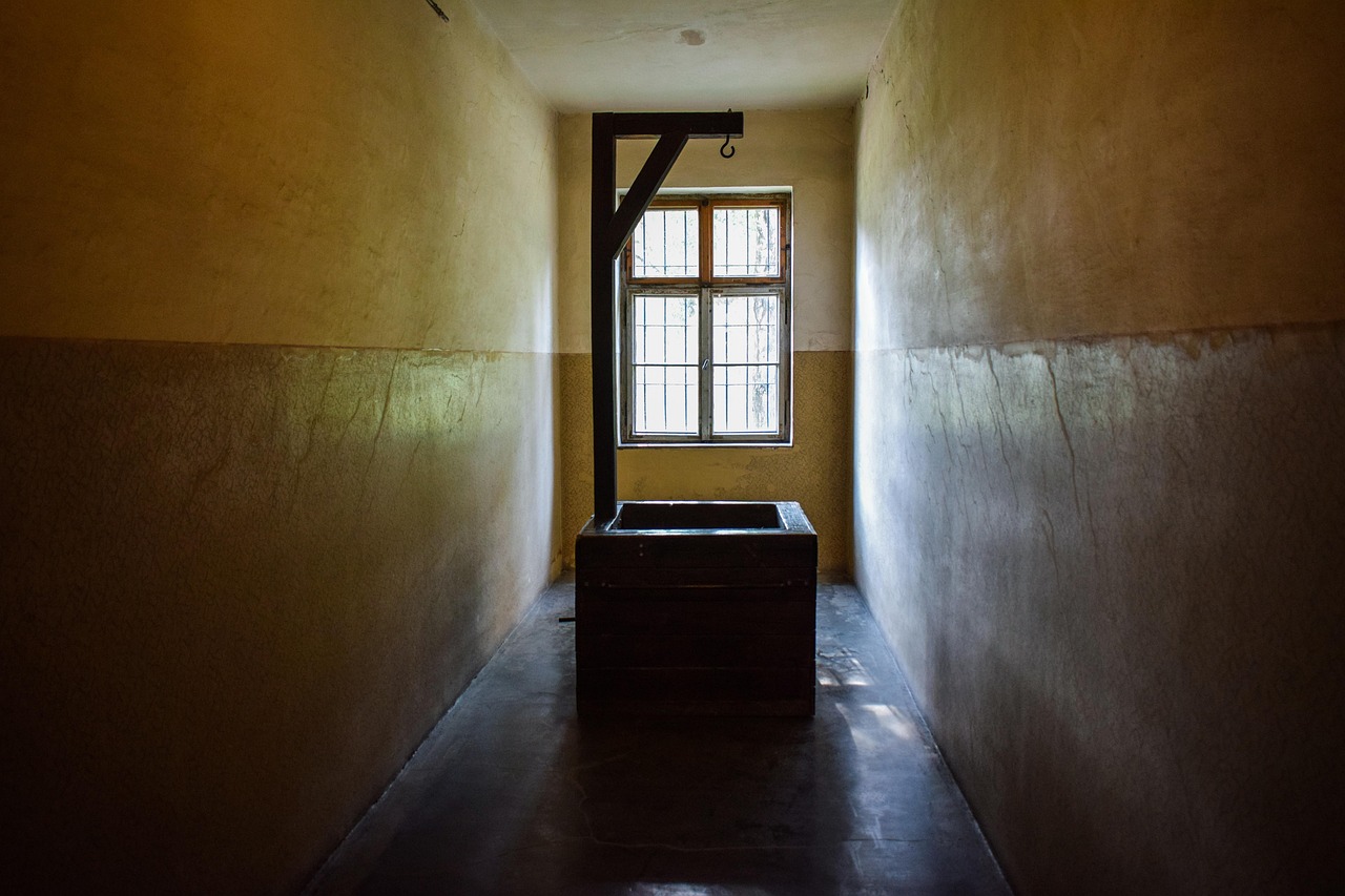 DDOS平台|虚拟详情下载教程app