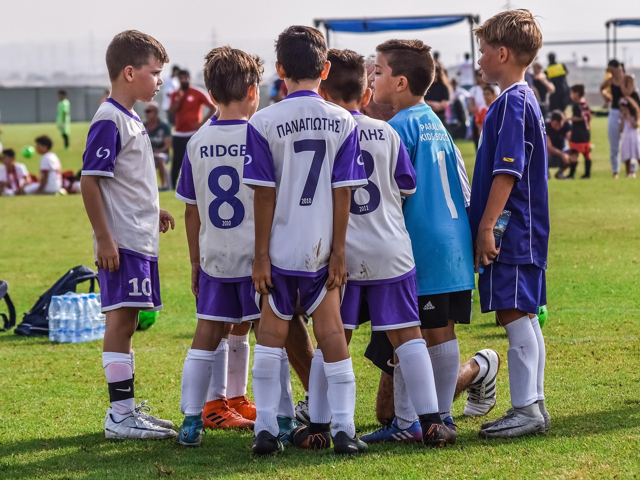 斗鱼 实名账号：短信验证码与二次验证的区别及应用场景