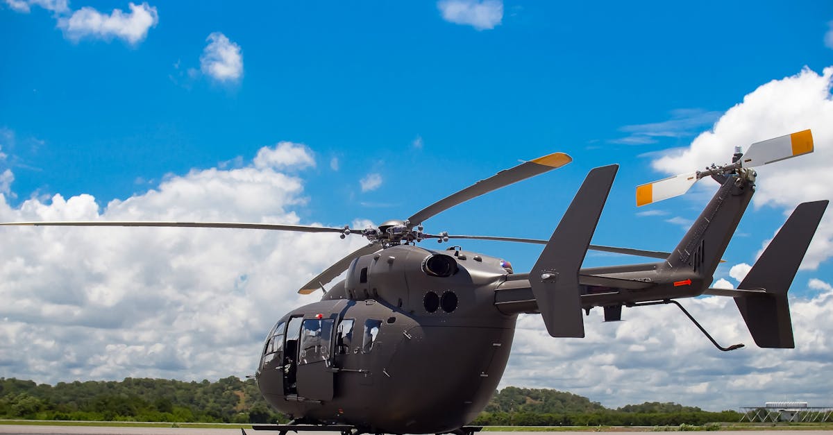 铁塔猫太阳橙子爆珠（粗）：解放行app官网详情下载教程